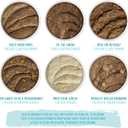 Weruva Wet Cat Food, The Mix and Match Game Pate Variety Pack, 3oz Can, Pack of 18