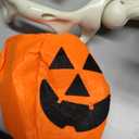 3 Parts Skeleton With Halloween Pumpkin Hat and Spider