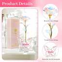 Unique Gifts for Sister, Pink Preserved Galaxy Rose with 4.23.15 Inch Acrylic Butterfly Stand - Delicate Sister Birthday
