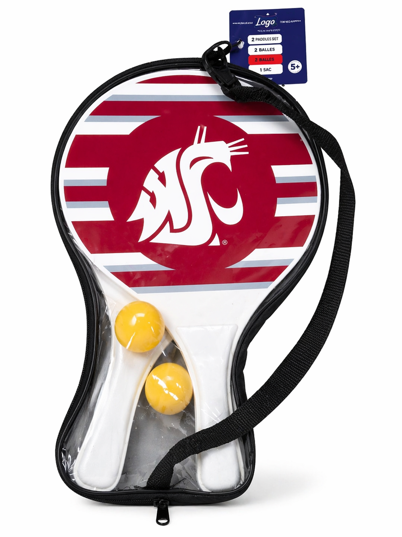 Team Pride Beach Paddle Set Two Paddles 2 Balls