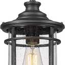 Emliviar Outdoor Hanging Pendant Light - 12 Inch Hanging Lantern for Front Porch, Seeded Glass Shade in Black Finish, XE229H BK (Large)