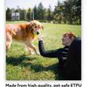 ALPI Chomp Ball - Durable Chew Toys for Dogs & Other Pets - Stimulating Dog Toys for Aggressive Chewers - Soft Dog Chews - 3-Pack, Neon Yellow