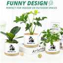 Funny Magical Cat Ceramic Succulent Cactus Flower Plant Pots with Bamboo Tray, 3.5 Inches Window Garden Cute Cat Planter Pot for Home Desk Decor Planter (No Plants)