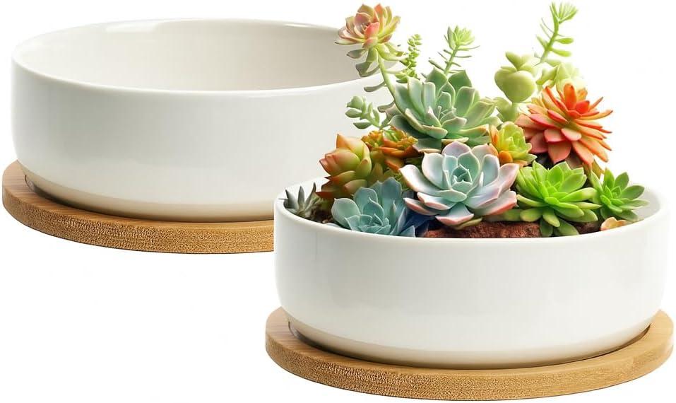 ZOUTOG Plant Pot 6 Inch, Ceramic Succulent Pots for Flower with Drainage and Tray, Succulent Planters for Indoor Plants White Round with Home, Office, Pack of 2
