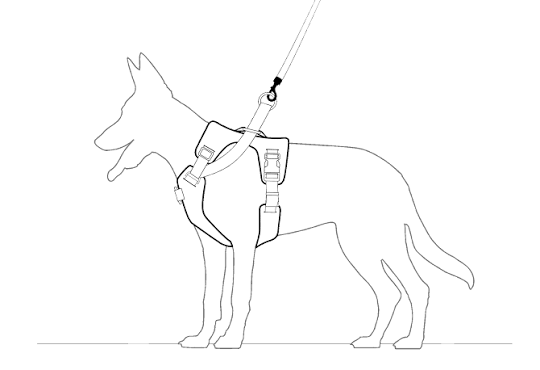 Petmolico No Pull Dog Harness Set with Leash Attachment Easy Control Handle Reflective Harness Vest Small Breed, Puppy Vest and Leash Set with Poop Bag Holder, Small - Orange, Small