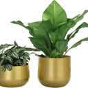 Vixdonos Gold Metal Flower Pots Brass-Toned Garden Planters, 7.1/6.3 Inch Indoor Round Succulent Containers, Pack 2 Cactus Plant Pots with Drainage Hole