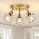 Baocuz 3-Light Brushed Gold Kitchen Light Fixtures, Modern Close to Ceiling Light with Metal Cage, Multi-Directional Gold Ceiling Lights for Farmhouse, Hallway, Dining Room, Entryway