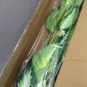 FLOWORLD Artificial Golden Dieffenbachia 4ft Tall Artificial Plants Indoor Decorative Silk Plants Potted Faux Tropical Tree Lifelike House Floor Large Fake Tree for Home Living Room