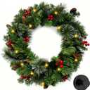 24 Inch Artificial Pre-Lit Christmas Wreath with Suction Cup Hook, Mixed Pine Decorated Frosted Berries, Pinecones, 50 LED Lights, Battery Operated, Holiday Decoration for Front Door, Outdoor