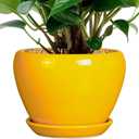 Ceramic Pot for Plants - 6 Inch Plant Pot Glaze Modern Decorative Round Planter with Drainage Hole and Saucer for Home Patio Room Office House Decor, Yellow