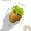 VANGOLD (2-Pack) Bring Nature Indoors Artificial Succulents in Fashionable Golden Flower Pots - Perfect for Home, Office, and Event Decor
