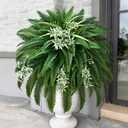 Livole 60" 2-in-1 Fake Ferns with Spider Plant, Artificial Ferns for Outdoors Large Faux Boston Fern with 118 Branches Realistic UV Resistant for Planter Indoor Home Garden Porch Hanging Decor, 1 Pcs