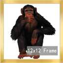 RUN HELIX 12x12 Frame, Horizontal and Vertical Formats for Wall Hanging, 12 x 12 Square Wall Gallery Poster Photo Frame with Durable Shatter Resistant Plexiglass, 12 x 12 Picture Frame Gold