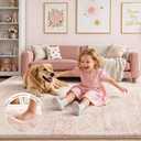 Latte&Fog Soft Thick Plush Bounce-Back 5x7 Pink Area Rugs for Living Room