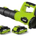 LEAPUL Leaf Blower, 21V Electric Cordless Blower, 2 X 2.0Ah Batteries and Charger Included, Lightweight Leaf Blower for Patio Cleaning, Lawn Care, Blowing Leaves and Dust, etc.