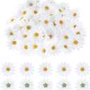SHENLIU 100Pcs Daisy Flower Artificial, White Daisy Artificial Flowers, Fake Daisies Fabric Daisies Flower Head, Mini Flowers Spring Decor for Wedding Party and DIY Craft Home Decoration