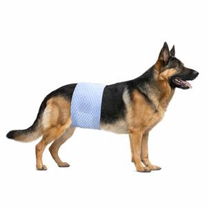 Pappiora Disposable Male Dog Diaper Wraps, Leakproof Super Absorbent, Wetness Indicator, Adjustable Fit, Size XL (Waist 23–31 in), 22 Count