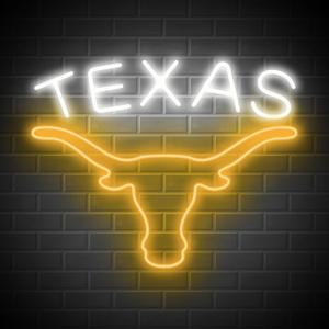 TEXAS Longhorn Neon Sign for Wall Decor -Adjustable Brightness LED Bull Neon Light Signs, Cow Neon Signs - USB Powered Hanging Neon Sign for Game Room, Man Cave, Bar