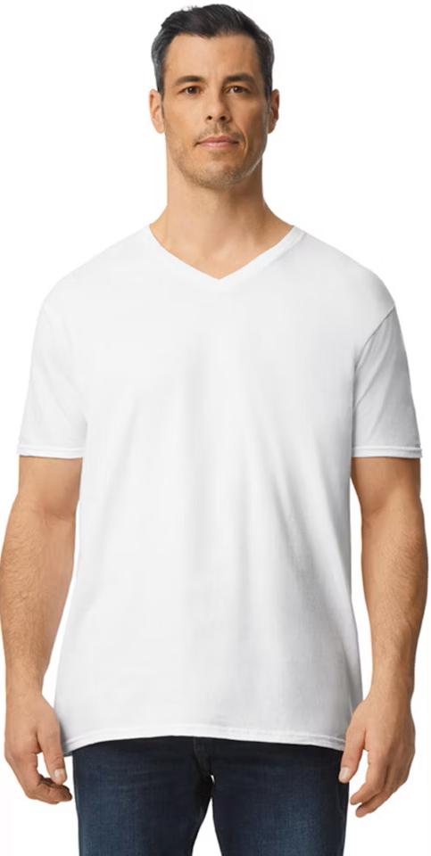 Gildan Men's V-Neck T-Shirts, Multipack, Style G1103, 2, L