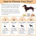 Mkono Male Dog Belly Band Wraps Washable Dog Diapers Male for Small and Medium Dogs, Waist 19.2 Inches to 23.8 Inches(3 Pack,Blue,White,Yellow)