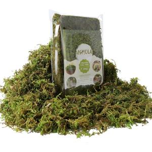 USMOLA Fake Green Moss for Potted Plants, 4OZ Artificial Moss for DIY Crafts, Faux Moss for Table Centerpieces Fairy Garden Decor (Fresh Green 140gr)