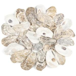 TaoQ C 30 PCS Oyster Shells 2"-3" Small Oysters Shells Natural Oyster Seashells for Crafts Beach Theme Party Fish Tank and Vase Filler Home Decoration