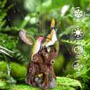 Hummingbird Rain Gauges Outdoor, Resin Hummingbird Garden Statue with a Plastic Rain Gauge, Hand Painted Birds Sculpture 5 Inch Water Gauge for Rain, Yard Patio Decor for Spring Summer