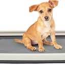 IRIS USA Pee Pad Holder  ExtraSmall Sized Dog & Puppy Pee Pads, Secured Latches, NonSkid Feet, High Polish Finish for Easy Cleaning, Leak Protection, Fits 14"x17" Pad Puppy & Toy Breeds, Dark Grey