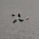 Zipper Repair Kit for YKK Metal, Molded Plastic & Coil Zippers, Compatible with YKK #3#5 Sizes,Replacement Sliders & Pulls for Clothing, Bags & Outdoor Gear