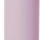 Simple Modern Water Bottle with Straw Lid Vacuum Insulated Stainless Steel Metal Cup Bottles | Reusable Leak Proof BPA-Free Flask for Gym, Travel, Sports | Summit Collection | 22oz, Lavender Mist