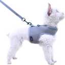 Small Dog Harness and Leash Set Small Pet Harness for Summer, Adjustable Soft Padded Dog Vest for Poodle, Pomeranian, Chihuahua, Minlature Pinscher Under 10LBS, Solid Grey Mesh Fabric, L