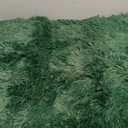 Small Rugs for Bedroom, 2x3 Fluffy Rug, Soft Fuzzy Area Rug for Living Room Dorm, Non-Slip Shag Rugs for Girls Boys, Soft Kids Carpet, Modern Home Decor Aesthetic, Dark Green (2x3 Feet)