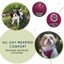 Lukovee Dog Car Harness Seat Belt, Adjustable Mesh Breathable Vest with Elastic Bungee Tether, Soft Padded 2-in-1 Safety Car Harness Seatbelt for Small Medium Large Dogs (Rose,XXS)