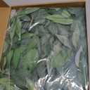 Ling's Moment Artificial Cinnamon Leaf Greenery Garland - 6 Pack, Candle Vines, Splicable 2.3ft Stems for Table Centerpieces, Lantern Rings, Backdrop Floral Arrangements & Wedding Arches