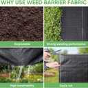 TICONN 3Ft x 50Ft Weed Barrier Fabric Heavy Duty, 3.2Oz Landscape Fabric for Garden, Yard, Driveway, and Vegetable Cultivation (2PK)