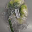 Cream Fake Flowers with Vase Hydrangea Artificial Flowers in Vase Peony Faux Flowers in Vase Rose Silk Flowers Peonies Floral Arrangements Artificial with Vase for Home Office Table Shelf Decoration Cream #23