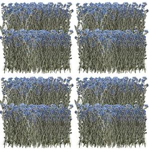 200 Pcs Natural Forget Me Not Pressed Dried Flowers Blue Don't Forget Me Dried Flower Real Dried Flowers for Resin Jewelry Candle Card Making Nail Art Flowers DIY Home Decoration