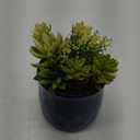 Artificial Succulent in Ceramic Pots, 2 Packs Large Faux Fake Plants Navy Blue for Desk,Office, Bedroom, Living Room, Bathroom Office Shelf Home Dcor