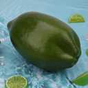 Woration Fake Faux Green Oversize Lemon Artificial Fruit Decoration Simulation Big Lime for Home Kitchen Party Table Photography Prop