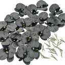 Urier Artificial Flower Heads Silk Orchid That Look Real, Fake Orchid Flowers with Clips, Tropical Faux Flower Heads DIY Orchid Clips, Wreath, Gift, Cake Decoration (20, Black)