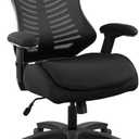 Office Mesh Computer Desk Chair, with Lumbar Support Pillow, Double Seat Cushion,Height Adjustable Armrest -Black (LBS-601)