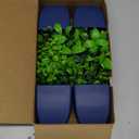 Der Rose 4 Pack Small Fake Plants Artificial Plants Indoor Office Desk Accessories for Aesthetic Room Decor Blue Bathroom Decor