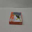 HEX BOTS Wall Crawler Gecko with Official Wall Climber Technology, Rechargeable Remote Control Robot Kids Toys, Prank Toys for Boys & Girls Ages 4 & Up (Gecko Rc (Original))