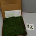 Preserved Sheet Moss Natural Green Decorative Real Natural Green DIY Kit Gardenning Art Wall Decor Florist Decor Easter Table Decor Wedding 2 sq.ft.Green-B