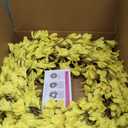 Yellow Forsythia Door Wreath Huashen 24 Inch Spring Summer Front Door Wreath Blossom Cluster Flower Farmhouse on Grapevine for Christmas Celebration Wall Window Decoration Hanging