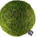 SuperMoss (21775) Preserved Moss Ball  Natural Green Decor for Home, Weddings & Events  Vase Fillers & Centerpieces, 12, Fresh Green