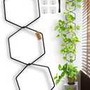 Xeeol 18 Pcs Chain Trellis for Climbing Plants, 7.5(ft) L Wall Plant Trellis Indoor, Pothos Plant Climber Support for Ivy Hoya Flower, Hexagons
