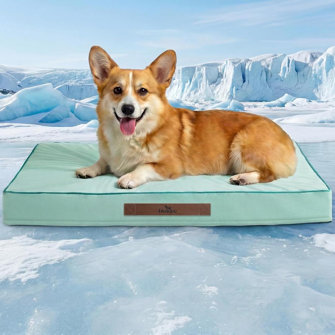 Cooling Dog Bed for Crate, 30 x 20 Inch Orthpedic Cooling Mat for Dogs with Removable Washable Cover, Breathable Egg Crate Foam Anti-Slip Pet Beds, Light Aqua