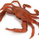 Simulated Marine Life Lobster Crab Model Lobster Large Lobster Gift Male Barracudacrab(red)