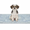 Washable Pee Pads for Dogs, Stylish, Non-Slip and Leak-Proof Pee Pads. Reusable Potty Pads for Dogs for Crates and Floors.(Blue/Multi, 36" x36" ), 2 pcs